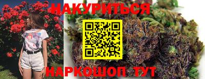 дмт Краснодар