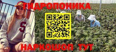 дмт Краснодар