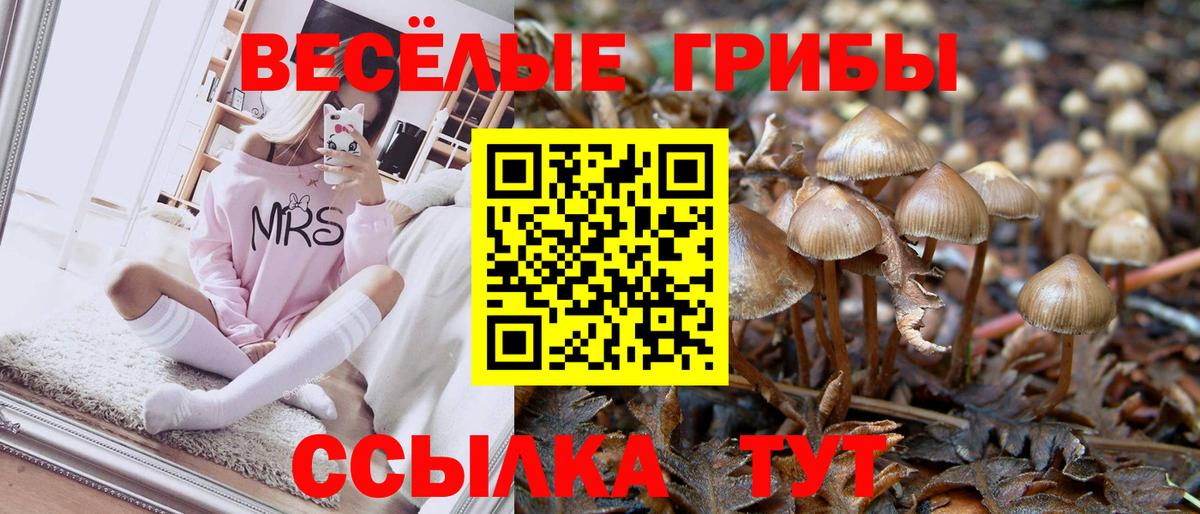 Галлюциногенные грибы прущие грибы Каменск-Уральский