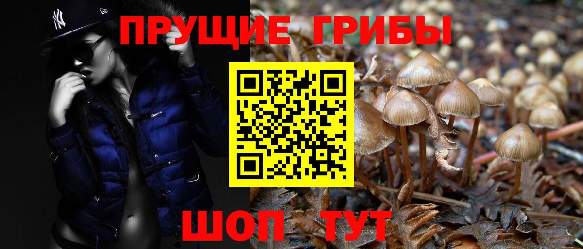 Галлюциногенные грибы прущие грибы  Вход с VPN  Каменск-Уральский  Псилоцибиновые грибы ЛСД 